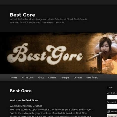 bestgotre|bestgore.com .